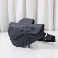 Christian Dior Saddle Bags